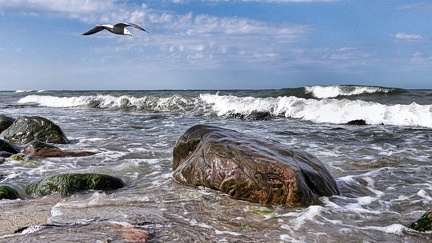 am-meer 51306041528 o