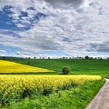 blhende-landschaft 51199051955 o