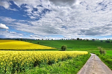 blhende-landschaft 51199051955 o