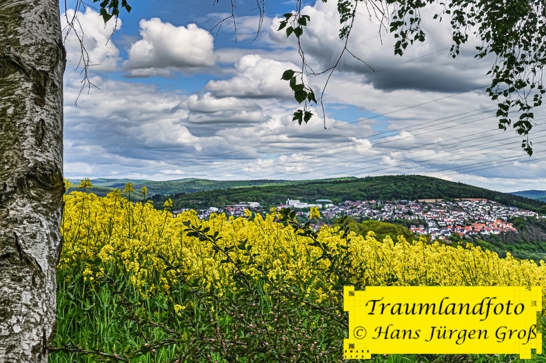 blick-auf-melsungen_51206739434_o.jpg