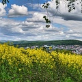 blick-auf-melsungen 51206739434 o