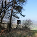 frhlingsmorgen 51070369652 o