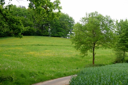 DSC00217
