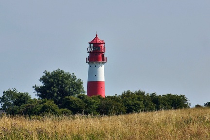 DSC00402-1