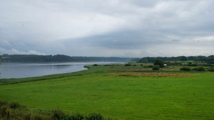 DSC00507-01