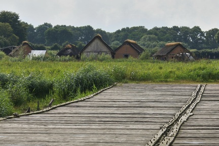 DSC00545-01
