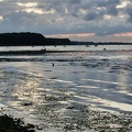 DSC00782-01
