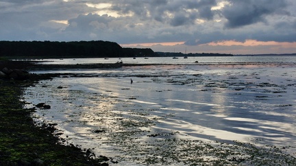 DSC00782-01