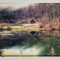 waldsee 17197286542 o-01