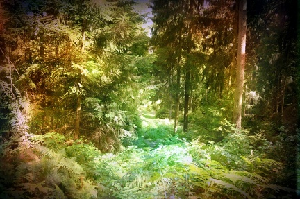 german-forest-deutscher-mrchenwald 28823060820 o