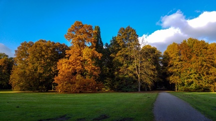 herbsttag-2016 29902261474 o