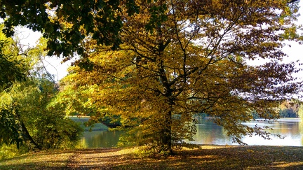 herbsttag-2016 30416353562 o