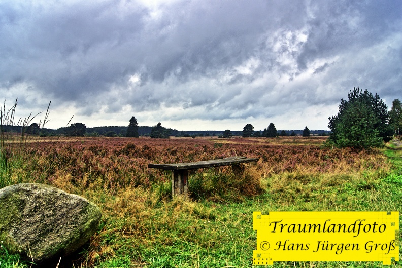 lneburger-heide_30258684175_o.jpg