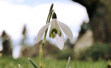 02-08