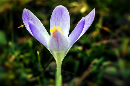 03-03