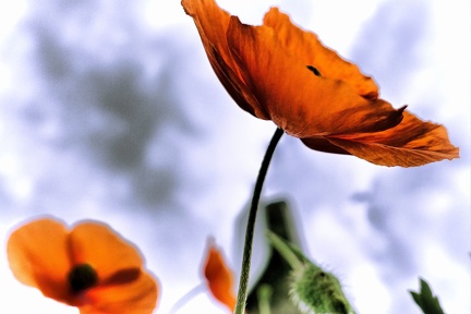 05-06