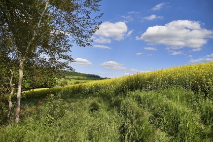 am-rapsfeld 49900597472 o