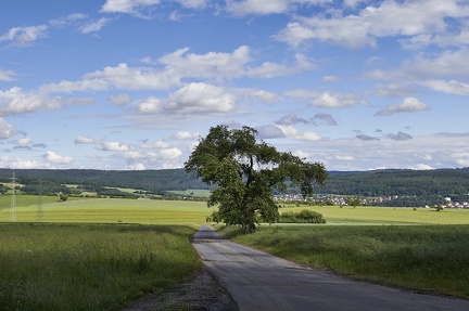 blick-auf-melsungen 49979987197 o