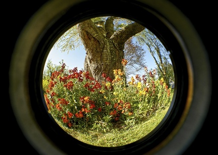 blick-durch-ein-altes-fischauge 49824820397 o