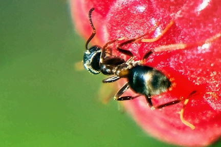 beerenspaziergang 52334168022 o