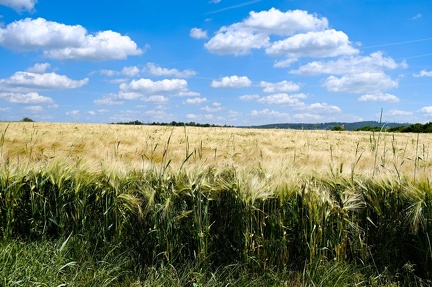 im-juni 52141115940 o