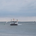 2023 (72)