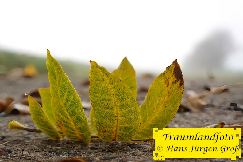 26.10.2024 10_1182.jpg