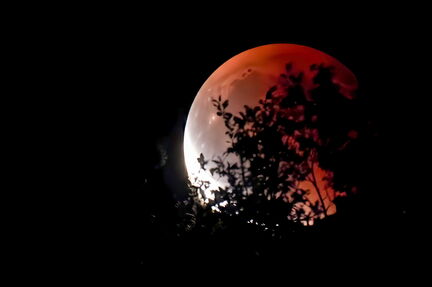 Mondfinsternis