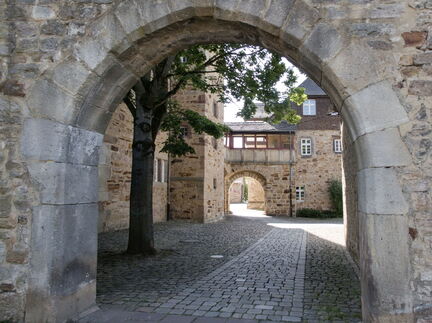 P1001412-V2