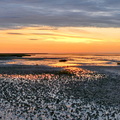 P1002405-V2-V2-1